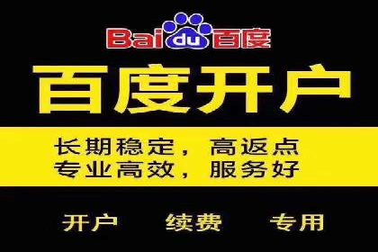某企业利用百度SEM提升产品销量的实战经验