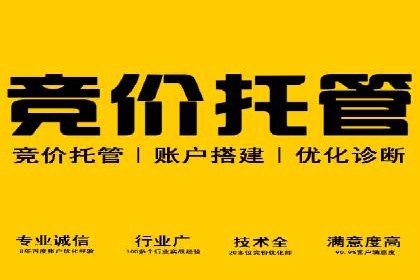 深度解析SEM代运营案例：品牌曝光度大揭秘